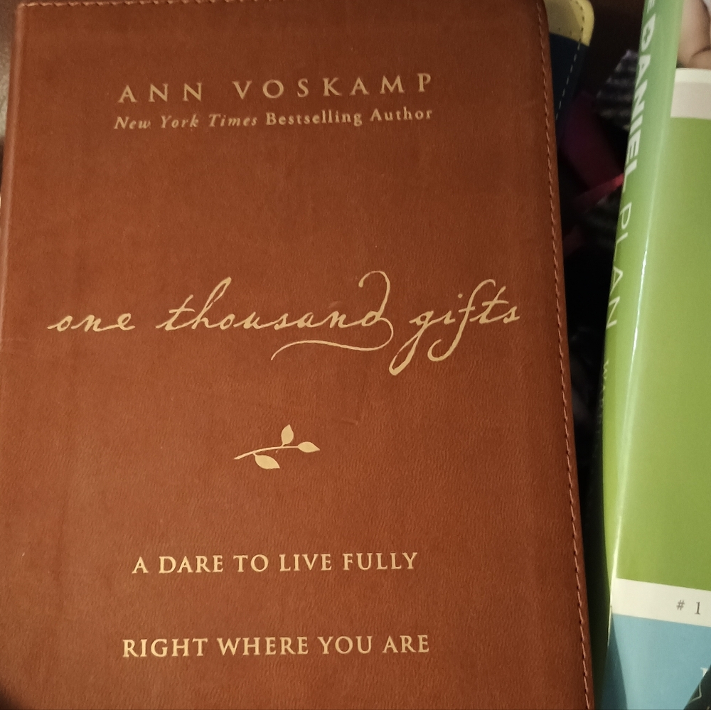 One Thousand Gifts Book by Ann Voskamp